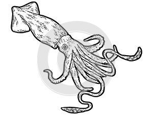 Colossal squid. Engraving raster illustration. Sketch scratch