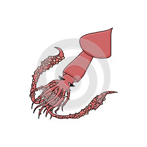 Colossal squid in the ocean. Vector cartoon hand drawn illustration of the isolated animal in Antarctica. Polar