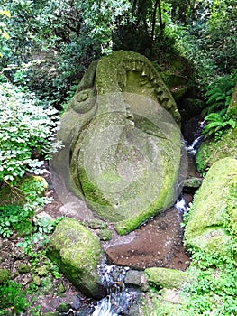 Colossal statue of whale in the forest of Bomarzo. Italy photo