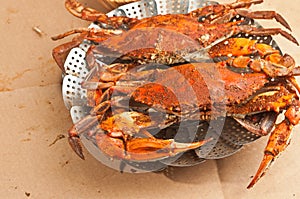 Colossal, steamed and seasoned chesapeake blue claw crabs on a brown paper table cover