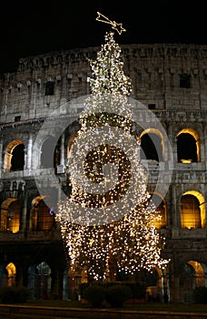 Colosseo with christmas tree at night. Rome, Italy photo