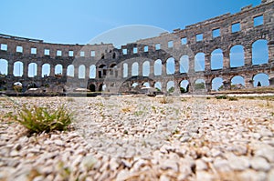 Colosseum arena