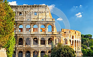 Colosseum (Coliseum) in Rome