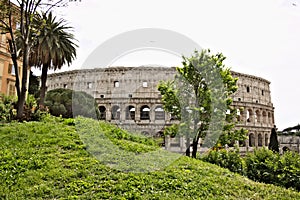 The colosseum with a green lawn on the hill of Colle Oppio photo