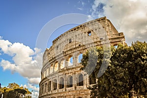 The Colosseum in Roma photo