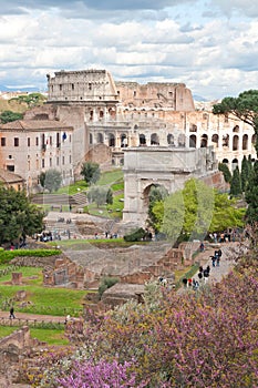 Colosseum from roman forum