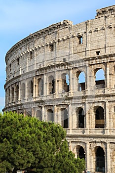 Colosseum of Rome. Amphitheatrum Flavium