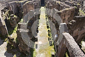 Colosseum in Rome, Italy