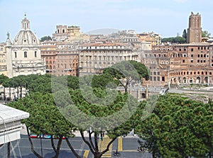 Colosseum in Rome, Italy. View through cypress trees.