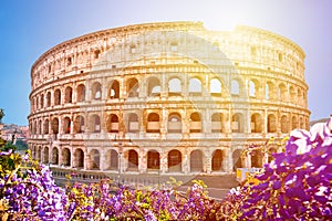 Colosseum of Rome sunset view, famous landmark of eternal city