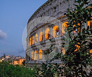 Colosseum at sunset, Rome. Italy.