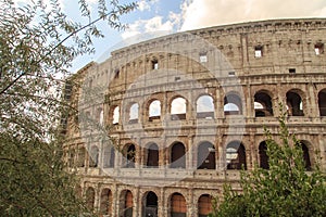 Colosseum View with Trees