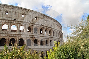 Colosseum View with Trees