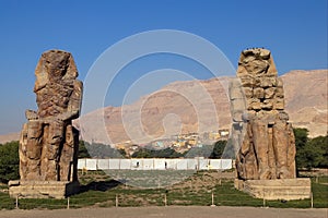 Colossus of Memnon photo