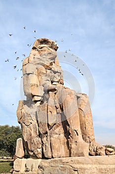 Colossus of Memnon