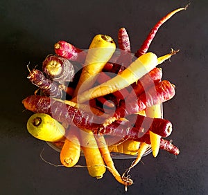 Colouful carrots, art, nature and food design