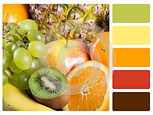 Colour palette swatch.