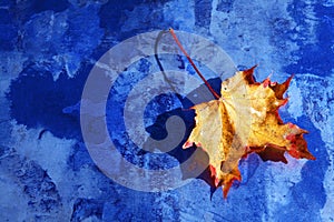 A coloured autumn sheet