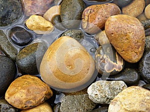 New Zealand: Te Karo Bay pebbles, Coromandel photo