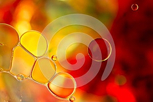 Coloured Bubbles on Water Surface