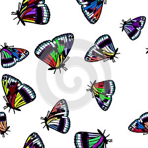 Coloured butterfly pattern seamless vector illustration eps10