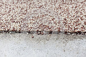 Coloured Concrete Around Pool