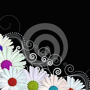 Coloured flowers with swirls vector
