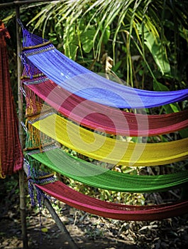 Coloured hammocks photo