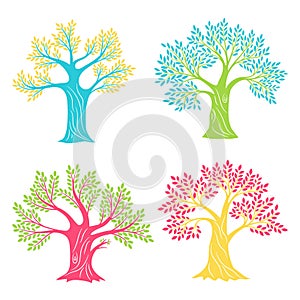 Coloured oak trees. Beech or olive antique tree set sketching isolated for logo, vintage oaks silhouettes color artwork