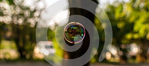 Coloured translucent soap bubble floating in the air with reflection of trees, sky and building on sunny evening. Nature