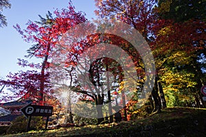 Coloured trees near a famous temple in Nikko Japan