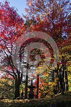 Coloured trees near a famous temple in Nikko Japan