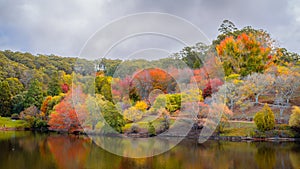 Colourful Australian autumn by the pond in Mount Lofty