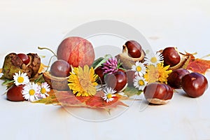 A colourful autumn with flowers, chestnuts and apples