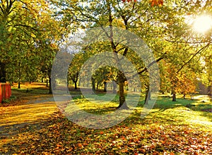 A colourful Autumn landscape.