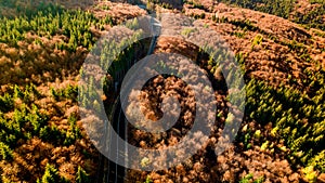 Colourful autumn landscape aerial view of empty asphalt roads, trees with yellow and orange leaves. European roads details