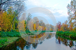 Colorato autunno da un fiume un chiaro alberi 