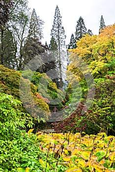 Colourful autumn landscape view at Benmore Botanic Garden, Scotland