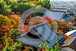 Colourful autumn leaf and temple roof in Kyoto, Japan