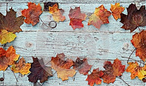 Colourful autumn leaves on a blue wooden background