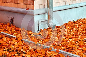 Colourful autumn leaves fallen onto wet asphalt road close rain tube and brick wall of residential building