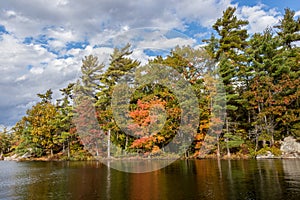 Colourful Autumn leaves at Beausoleil Island