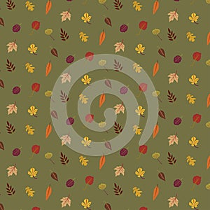 Colourful autumn leaves pattern isolated on green background