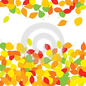 Colourful Autumn Leaves Pattern on White Background