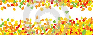 Colourful Autumn Leaves Pattern on White Background