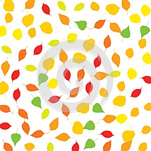 Colourful Autumn Leaves Pattern on White Background