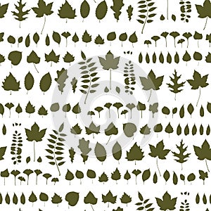 Colourful Autumn Leaves Pattern on White Background