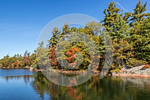 Colourful autumn leaves reflecting on the lake