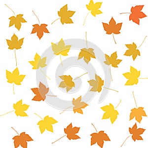 Colourful Autumn Maple Leaves Pattern on White Background