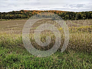 Colourful Autumn Ontario Landscape